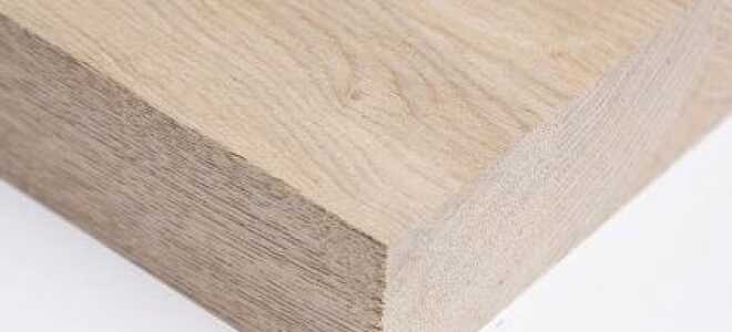 Мебельный щит из ясеня: особенности, сферы применения