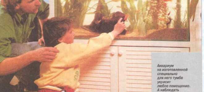 Тумба под аквариум своими руками – прочная и влагостойкая