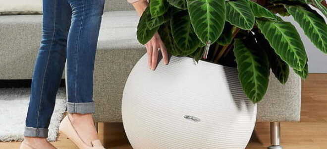 Подставка для цветов на колесиках — особенности, варианты конструкции, изготовление