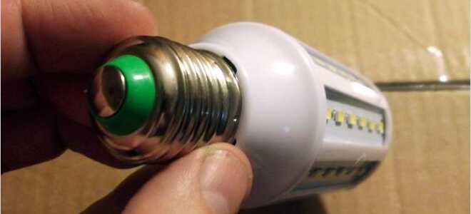 Виды лампочек и типы цоколей