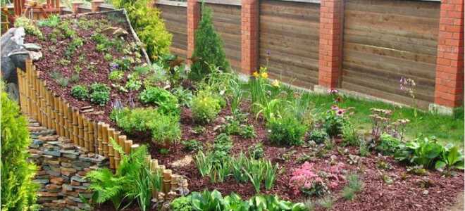 Приусадебный участок своими руками