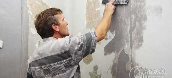 Как покрасить стены на кухне