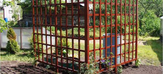 Шпалера своими руками