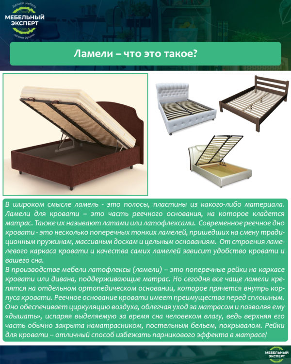 Ламели – что это такое