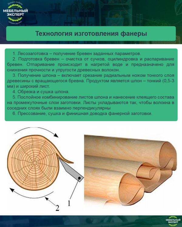 Изготовление мебели из фанеры: свойства материала + пошаговые инструкции