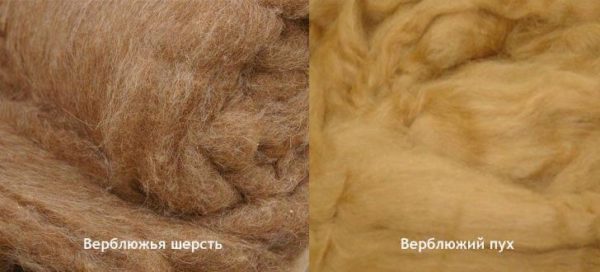 Верблюжья шерсть
