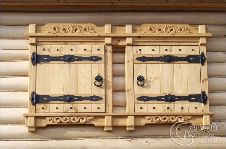 Одностворчатые Одностворчатые