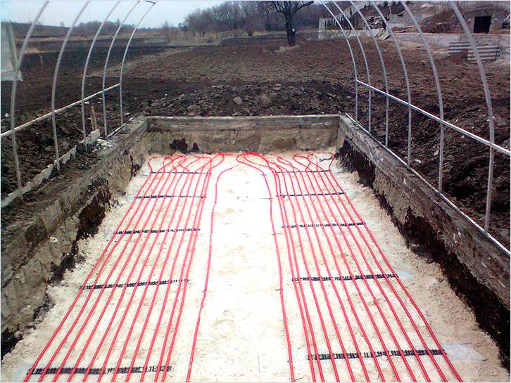 Организация отопления в теплице — затратное дело, но результат будет положительным