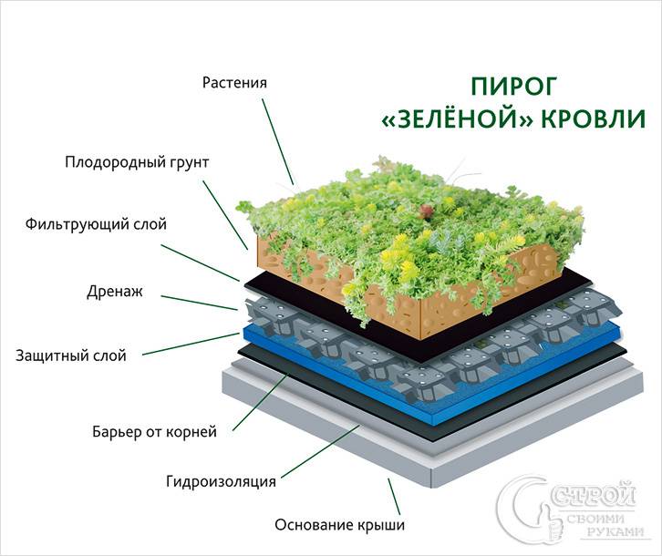 Пирог зеленой крыши Пирог зеленой крыши