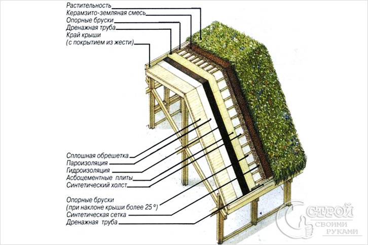 Схема наклонной зеленой кровли Схема наклонной зеленой кровли