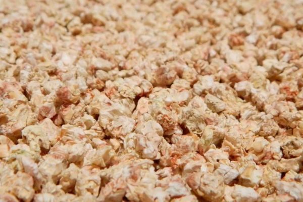 Кукурузный наполнитель для лотка