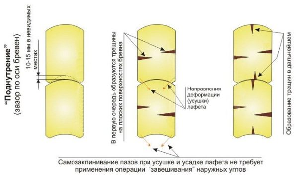 Особенности срубов из лафета
