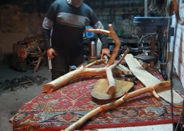 Длинная коряга с небольшим количеством корней