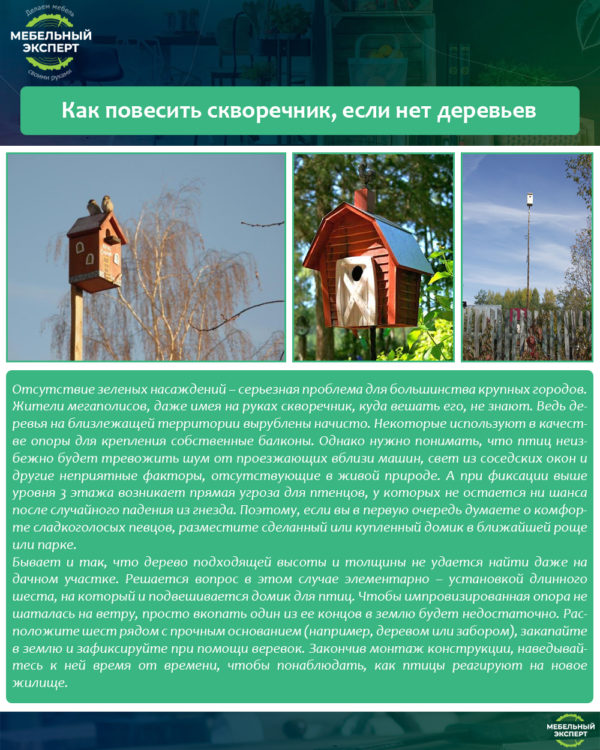 Как повесить скворечник, если нет деревьев