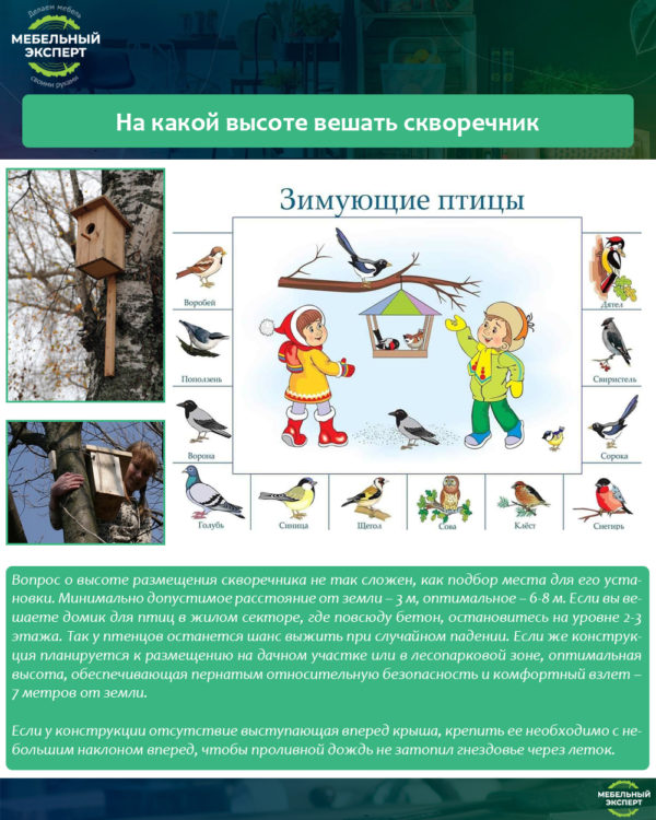 На какой высоте вешать скворечник